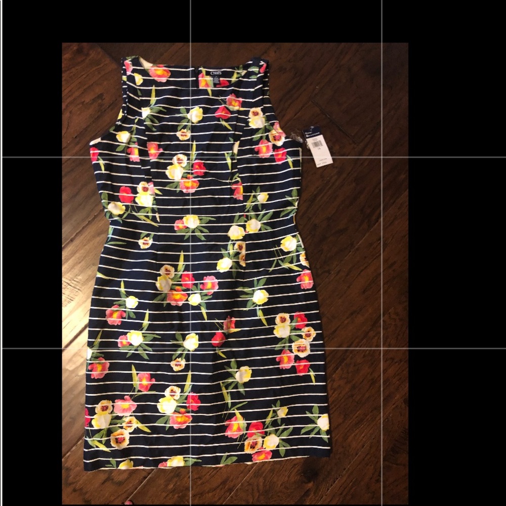 Chaps dress, tags on, never used.